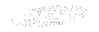 P25_logo